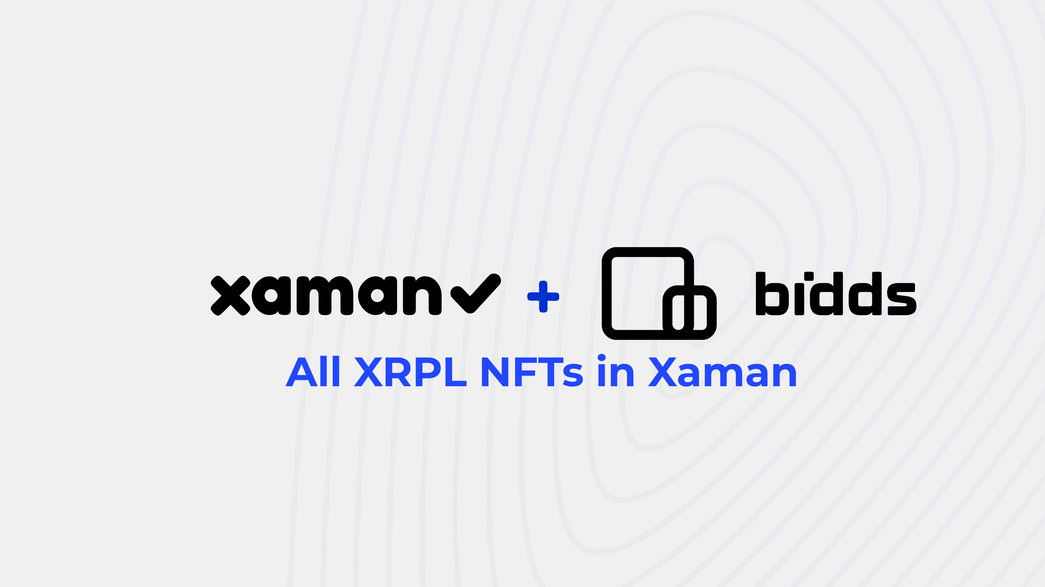 NFTs Just Got Easier — Meet the Bidds xApp in Xaman